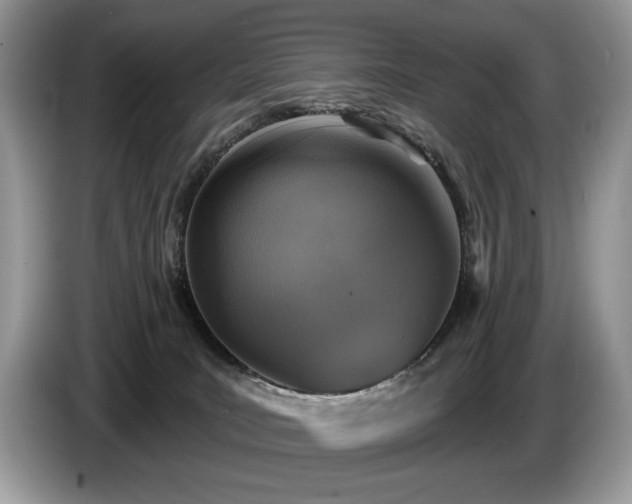 X0000087570035200704271255