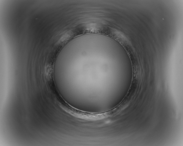 X0000087570036200704271255