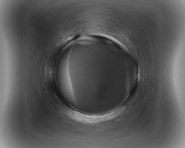 X0000087570039200704271255
