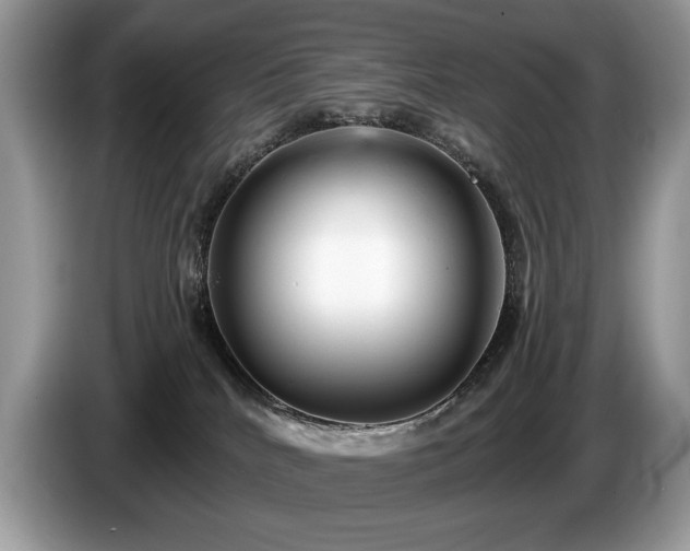 X0000087570040200704271255