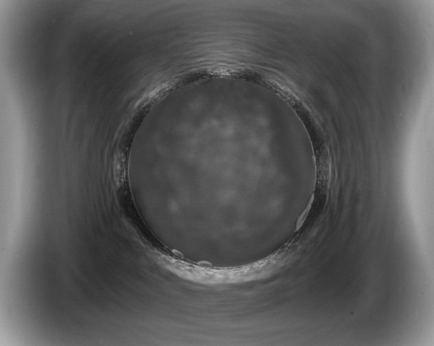 X0000087570043200704271255
