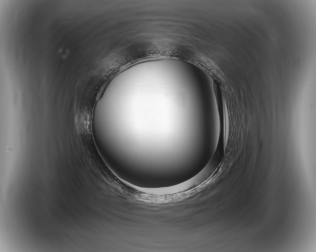 X0000087570045200704271255