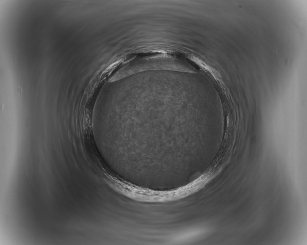 X0000087570048200704271255