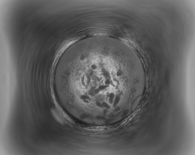 X0000087570049200704271254
