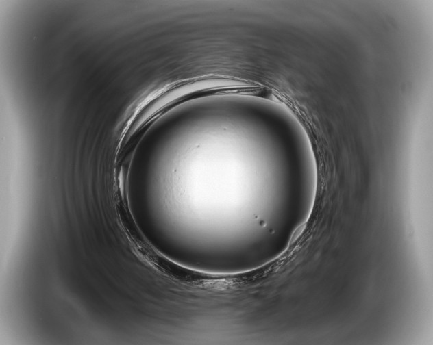X0000087570050200704271254