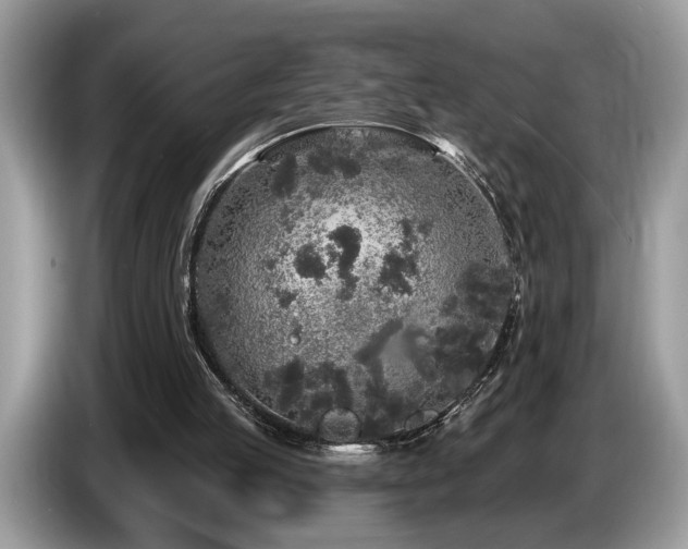 X0000087570053200704271254