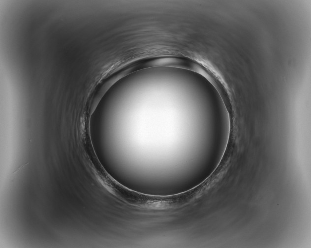 X0000087570057200704271254