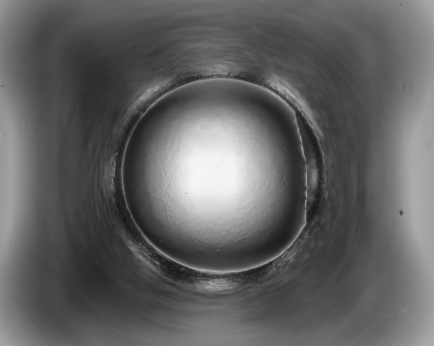 X0000087570058200704271254