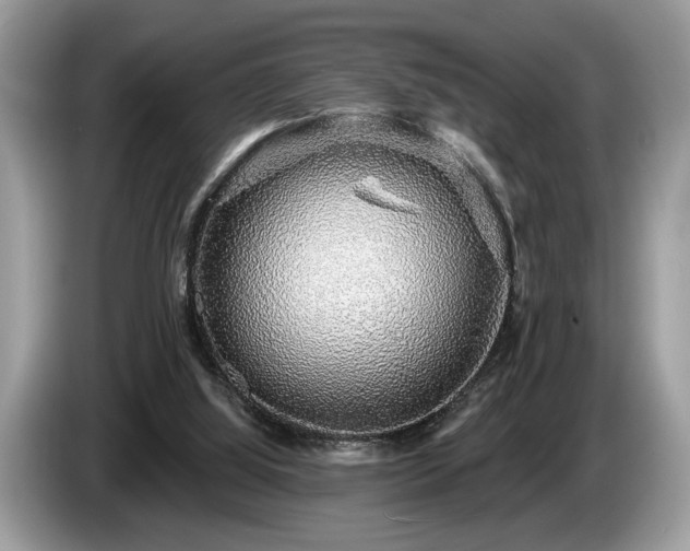 X0000087570060200704271254