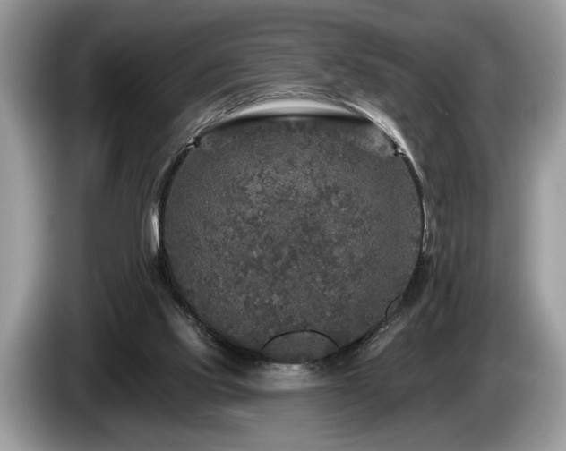 X0000087570061200704271254