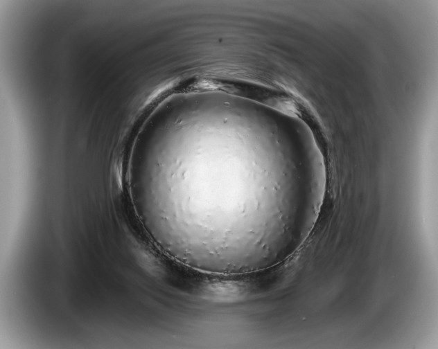 X0000087570062200704271254