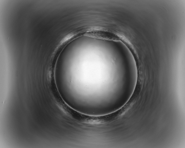 X0000087570063200704271254
