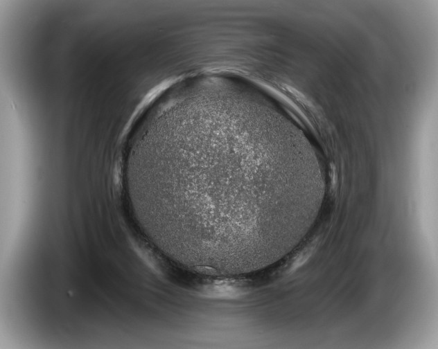 X0000087570064200704271254