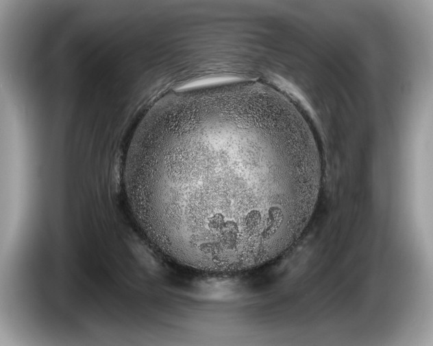 X0000087570065200704271255