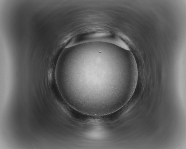 X0000087570071200704271255