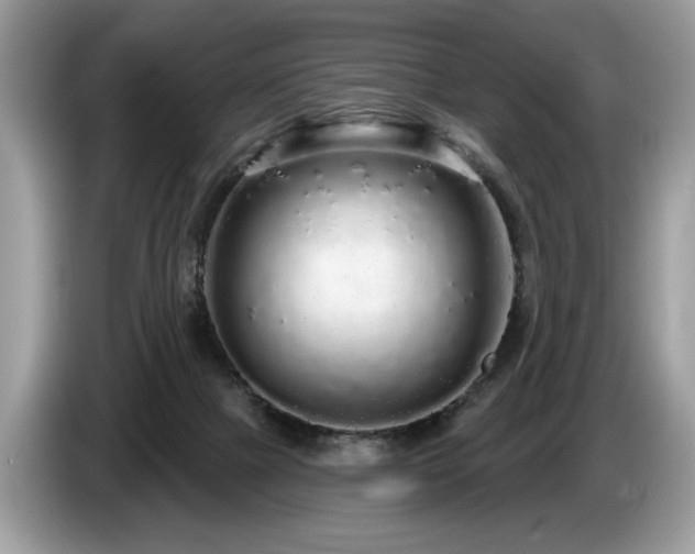 X0000087570073200704271255