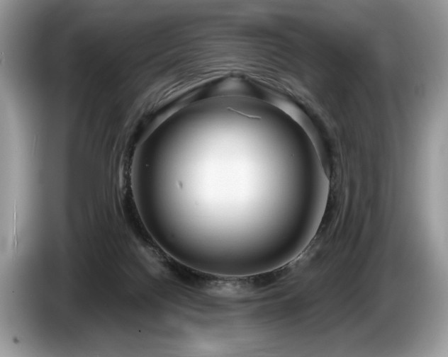 X0000087570074200704271255