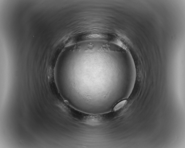 X0000087570077200704271255