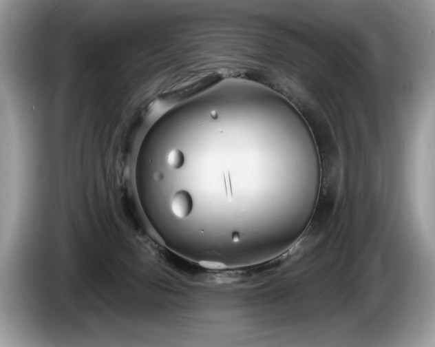 X0000087570078200704271255
