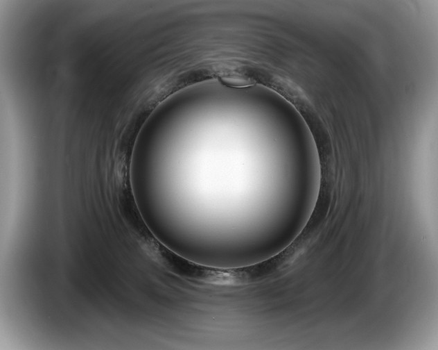 X0000087570083200704271255