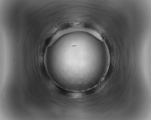 X0000087570085200704271255