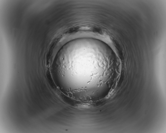 X0000087570086200704271255