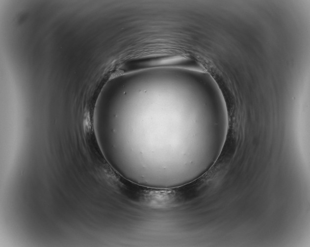 X0000087570089200704271255