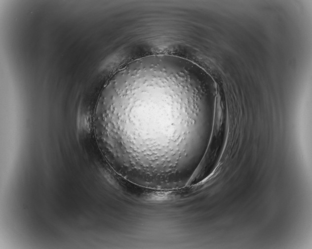 X0000087570090200704271255