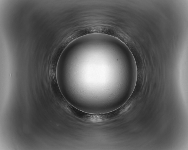 X0000087570091200704271255