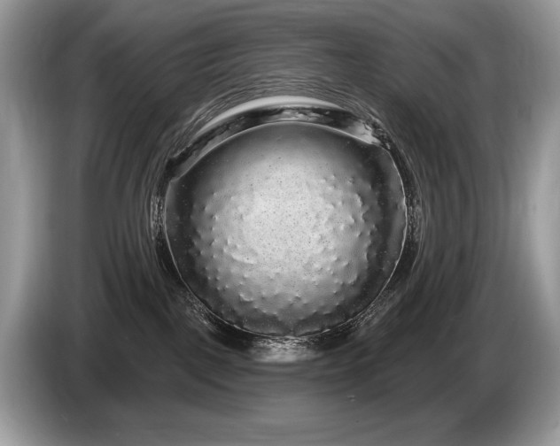 X0000087570093200704271255