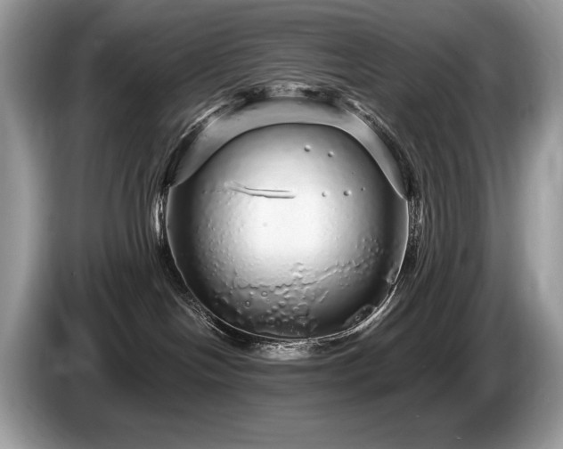 X0000087570094200704271255