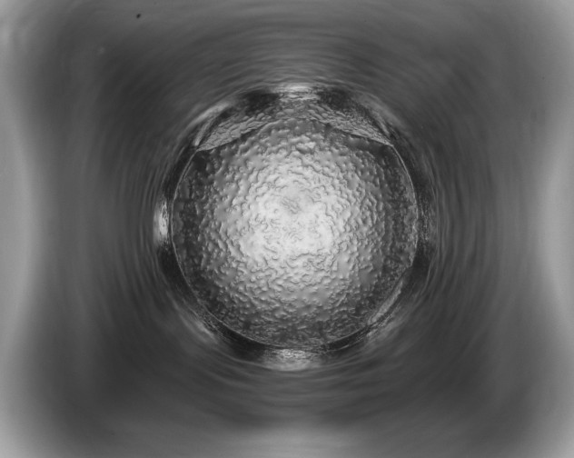 X0000087570095200704271255