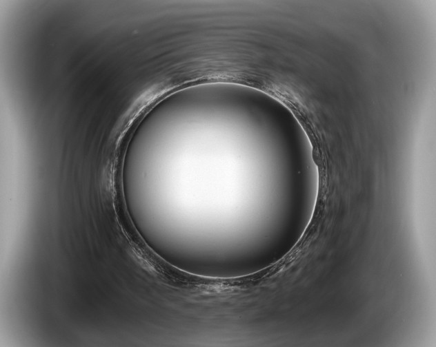 X0000087570098200704271254