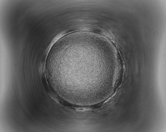 X0000087570099200704271254