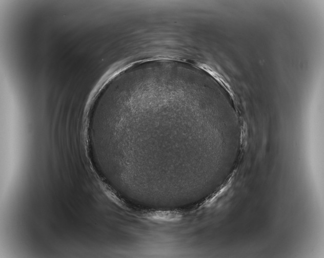 X0000087570101200704271254