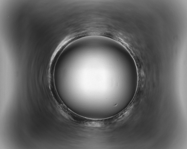 X0000087570102200704271254