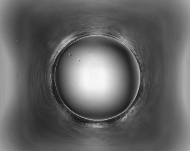 X0000087570103200704271254