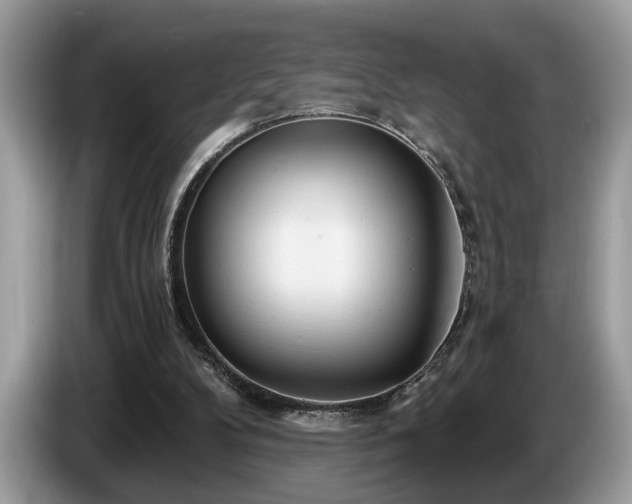 X0000087570104200704271254