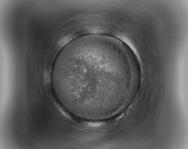 X0000087570105200704271254