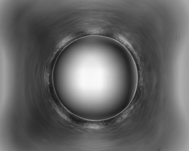 X0000087570106200704271254