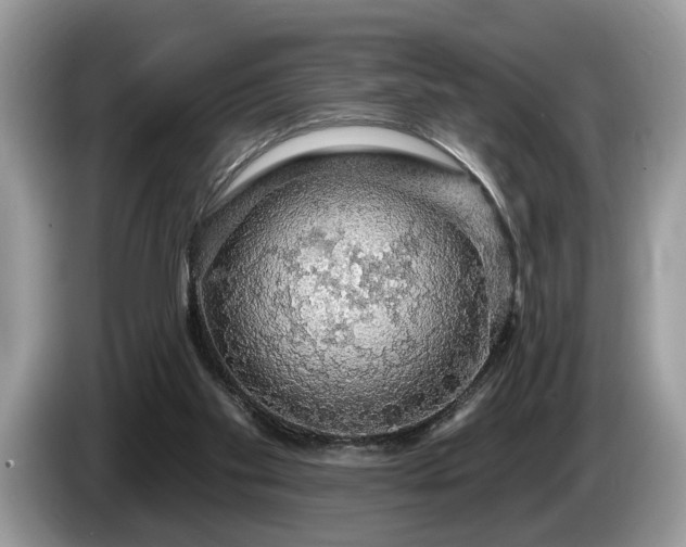 X0000087570109200704271254