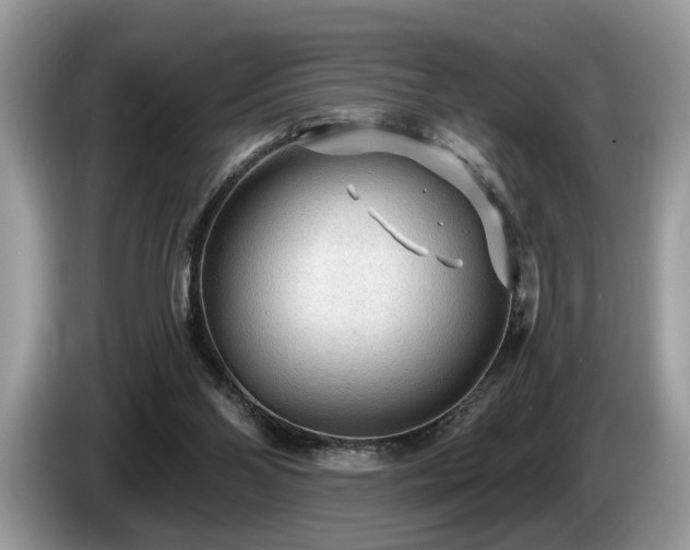 X0000087570110200704271254