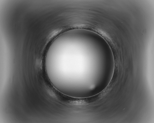 X0000087570112200704271254