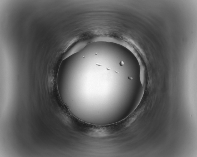 X0000087570113200704271254