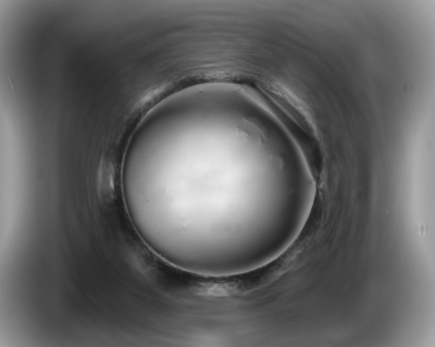 X0000087570115200704271254