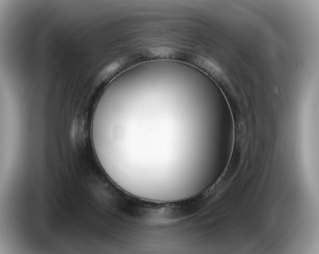 X0000087570116200704271254