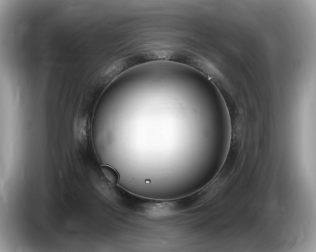 X0000087570122200704271254