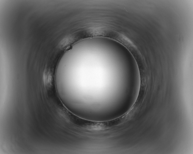 X0000087570124200704271254
