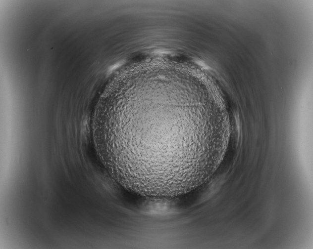 X0000087570127200704271254