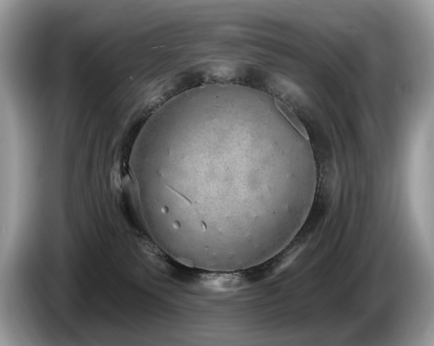 X0000087570135200704271254